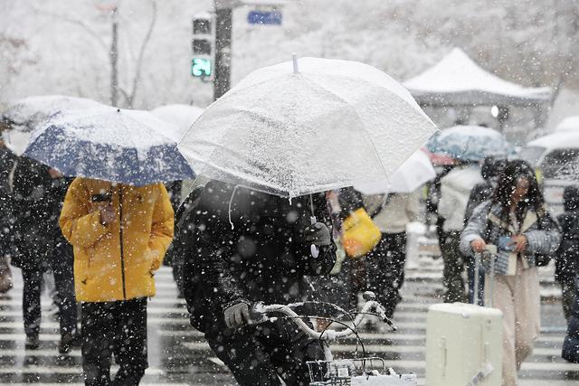 2024年11月27日，韩国首尔，行人顶着风雪出行。视觉中国 图