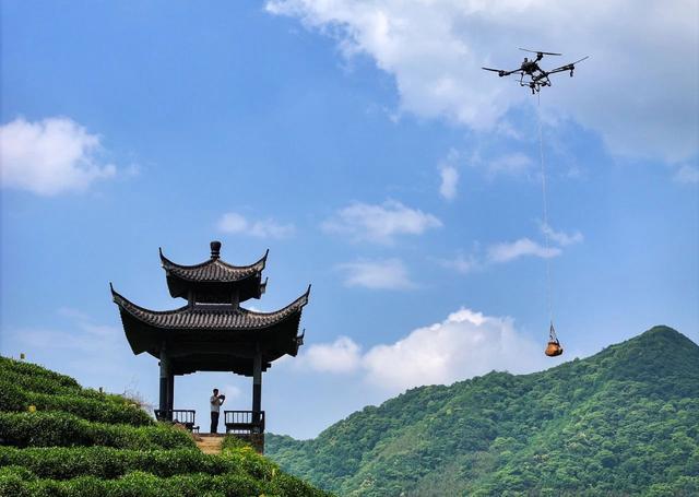 人工智能如何保护绿水青山