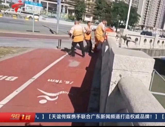 共享单车被丢河里每月可捞数百辆 城市文明的考验