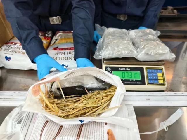 兔子饲料中夹藏3包大麻入境被查