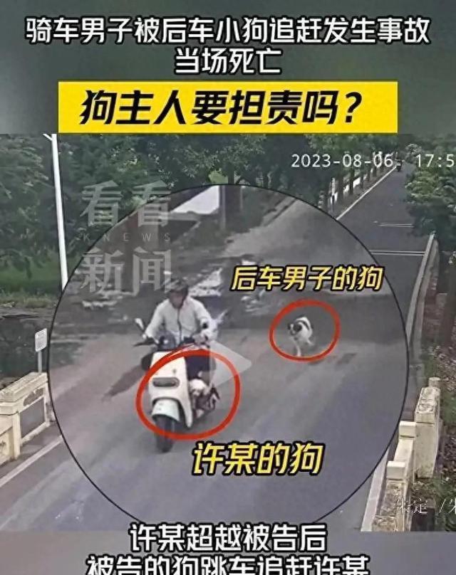 男子骑电动车遭狗追撞树身亡 法院判决责任划分引发争议