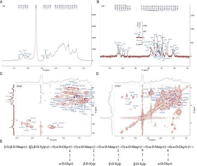 科学新证:粉木耳能延缓细胞衰老 粉色木耳多糖展现抗衰老潜力