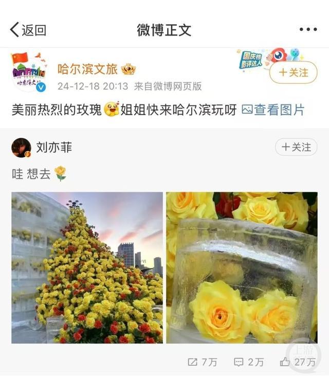 冰封黄玫瑰耗时三个半小时制成 仿真花造浪漫奇观