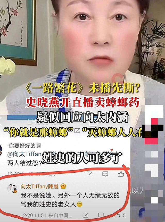 史晓燕炮轰向太