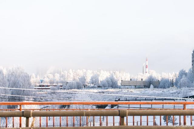 沈阳皇姑冬季游玩攻略 探寻雪景与美食