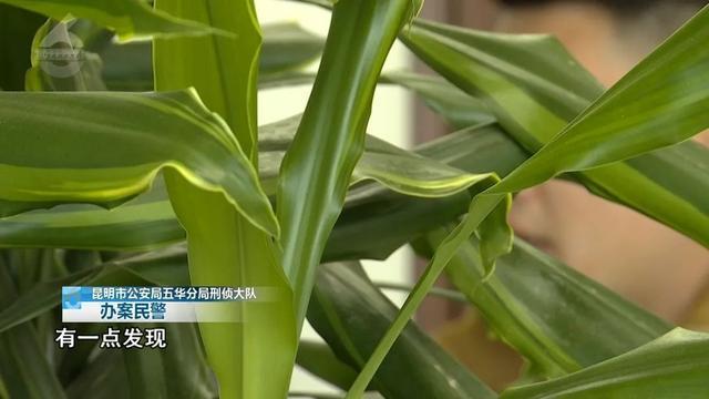  男子出狱前3天被发现身负20多年前的特大命案