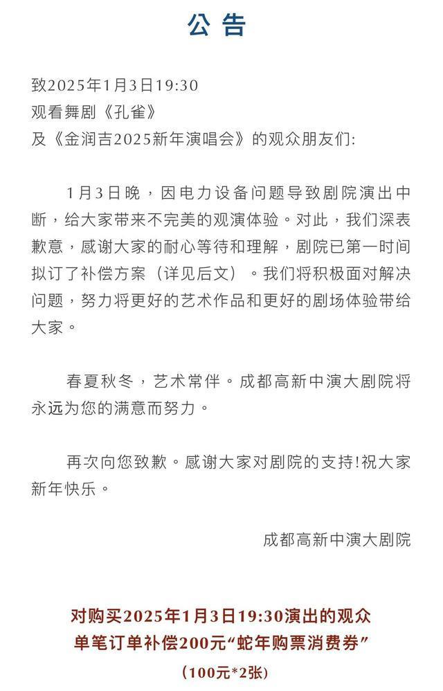 杨丽萍舞剧演出中途停电 观众手机灯光温暖全场