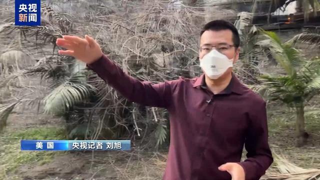 洛杉矶山火将街区烧成灰烬 房屋损毁严重