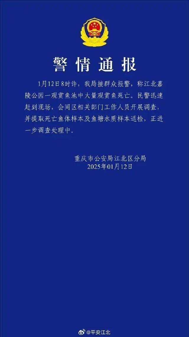 警方回應(yīng)重慶觀音橋錦鯉大量死亡