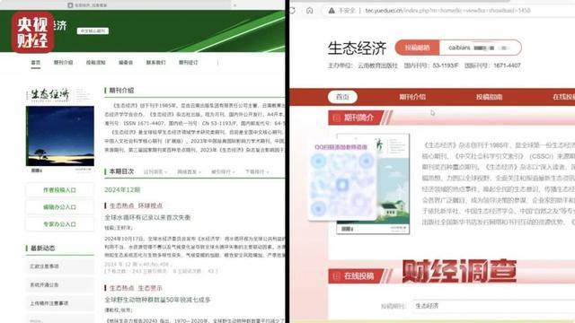 20元克隆山寨网页 揭秘诈骗新套路