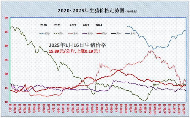 豬價(jià)上漲“一塌糊涂”,！1個(gè)壞消息！發(fā)生了啥,？