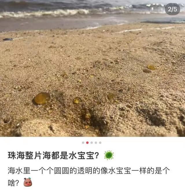 華南沿海多地出現(xiàn)“爆爆珠” 赤潮現(xiàn)象引發(fā)關(guān)注