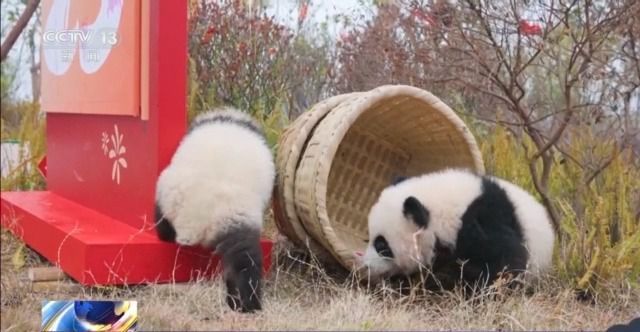 各地迎出入境客流高峰 春節(jié)假期迎來旅游熱潮