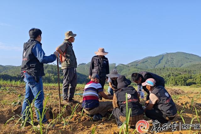 廣西北部灣新發(fā)現(xiàn)80處遺址 豐富歷史實物資料