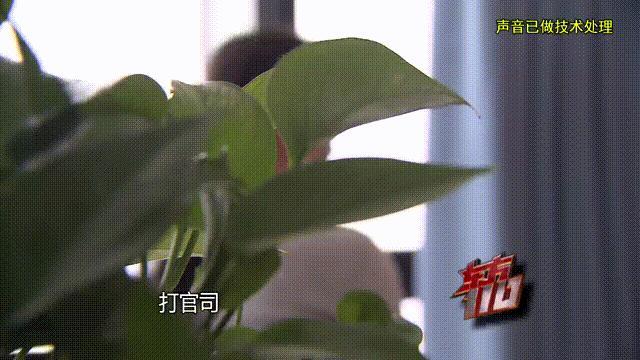 男子編造謊言3年詐騙女網(wǎng)友100萬 信任與同情被利用
