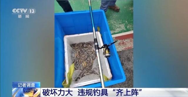 6人為釣大魚進保護區(qū) 違規(guī)垂釣破壞生態(tài)