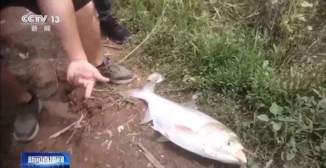 6人為釣大魚進保護區(qū) 違規(guī)垂釣破壞生態(tài)