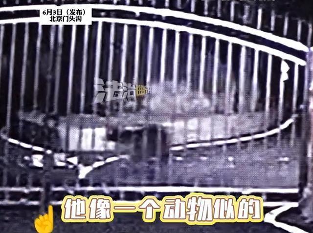 现实版“笨贼一箩筐”！2男子学狗爬进寺庙偷功德箱被刑拘