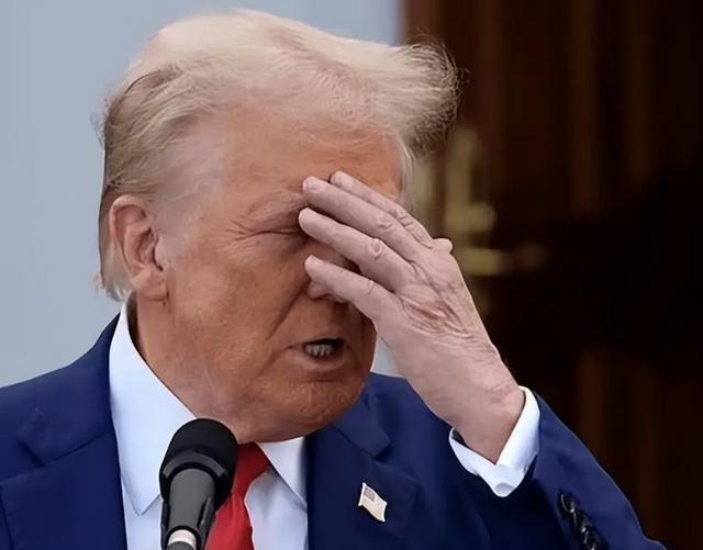 G7峰会内部有哪些难以调和的矛盾 成员国分歧重重
