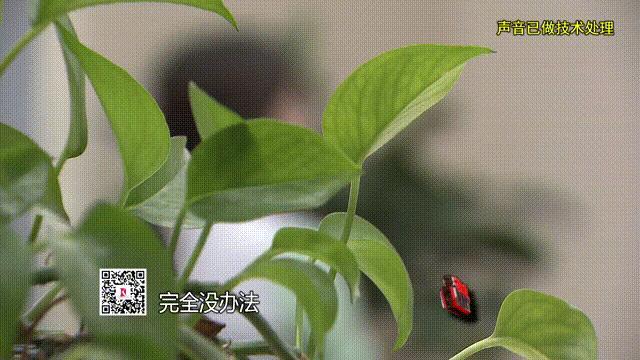 女硕士被假博士骗情骗财 五年骗局终曝光