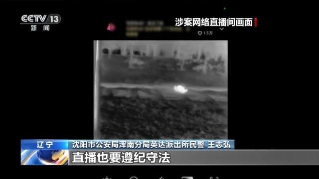 主播直播猎鸟被警方抓获 非法狩猎链条曝光