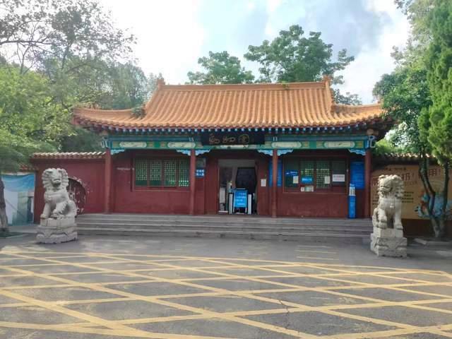 河南一动物园被举报“用个人收款码收门票涉案千万” 税务部门重新立案查处及小麦“越