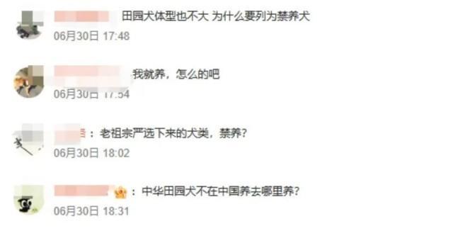 中華田園犬為何是禁養(yǎng)犬 多地政策調整引發(fā)熱議