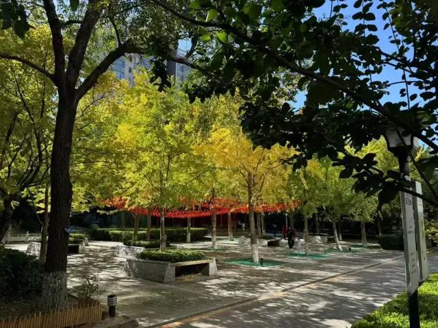 为情绪付费 年轻人盯上“树景房” 绿色中的诗意生活