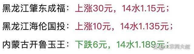 玉米“一夜大變”！猛漲沖高真要不行了,？進(jìn)口拍賣影響有限