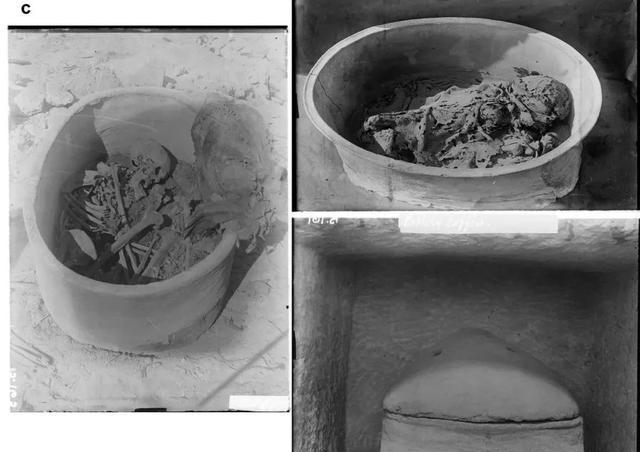 這個古埃及人留下了4500年前的DNA,，科學(xué)家復(fù)原了他的臉 揭示跨洲文化交流之謎