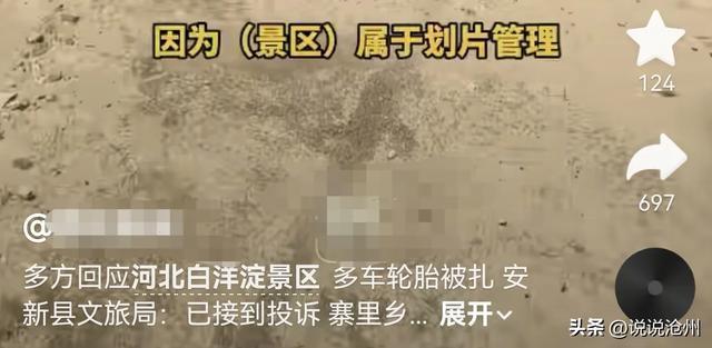 多方回應(yīng)白洋淀多車輪胎被扎 疑因游客不坐船遭報(bào)復(fù)