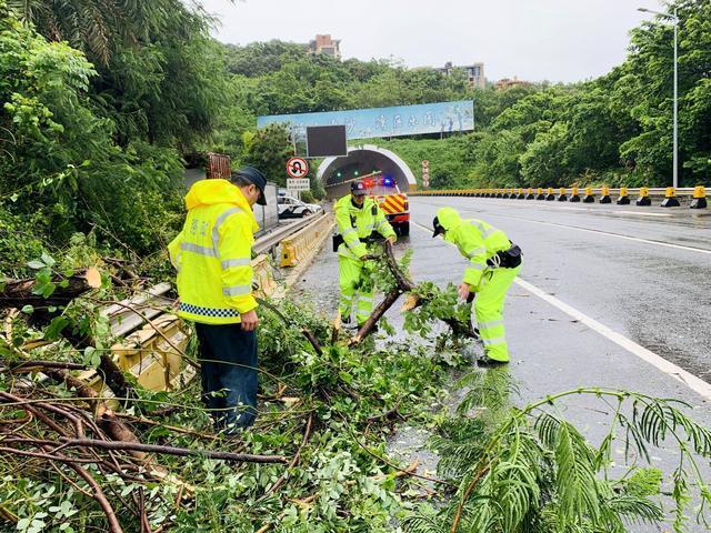 台风吹来路障交警及时清理 全力保障道路安全