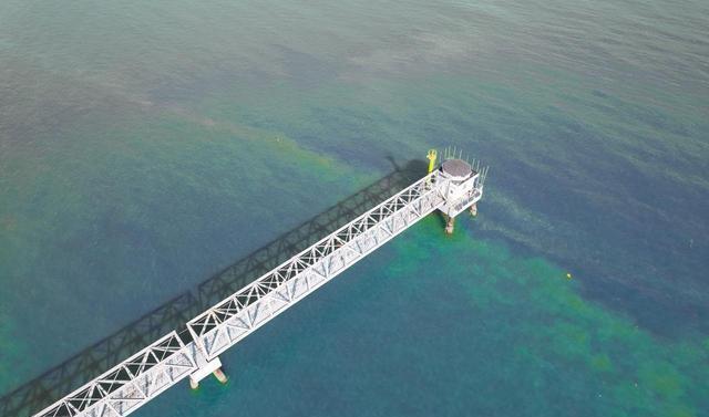 天津?qū)毑卮蚩ǖ匾淮慰磦€(gè)夠 探索城市靈魂