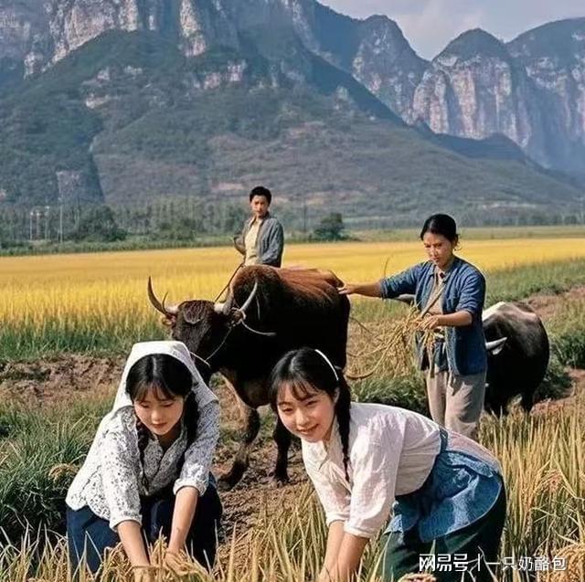 河北山東強降雨要到！農(nóng)田積水怎么化解