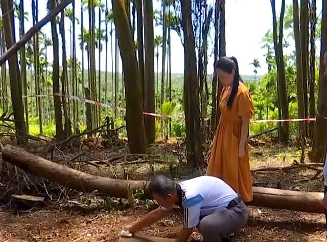 海南村民开荒发现山东烈士“于成久”的墓碑 目前两地正在积极对接 英雄魂归故里
