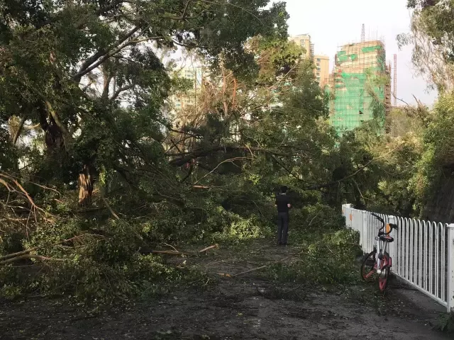 珠海17级摇风 超强台风“桦加沙”来袭
