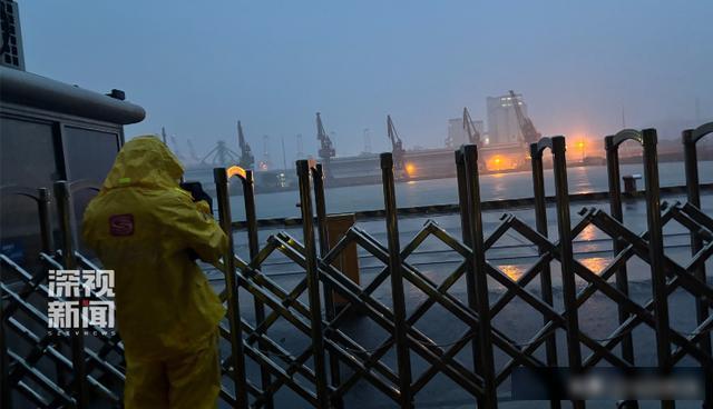 台风整夜放倒深圳174棵树 全市干预防风景色