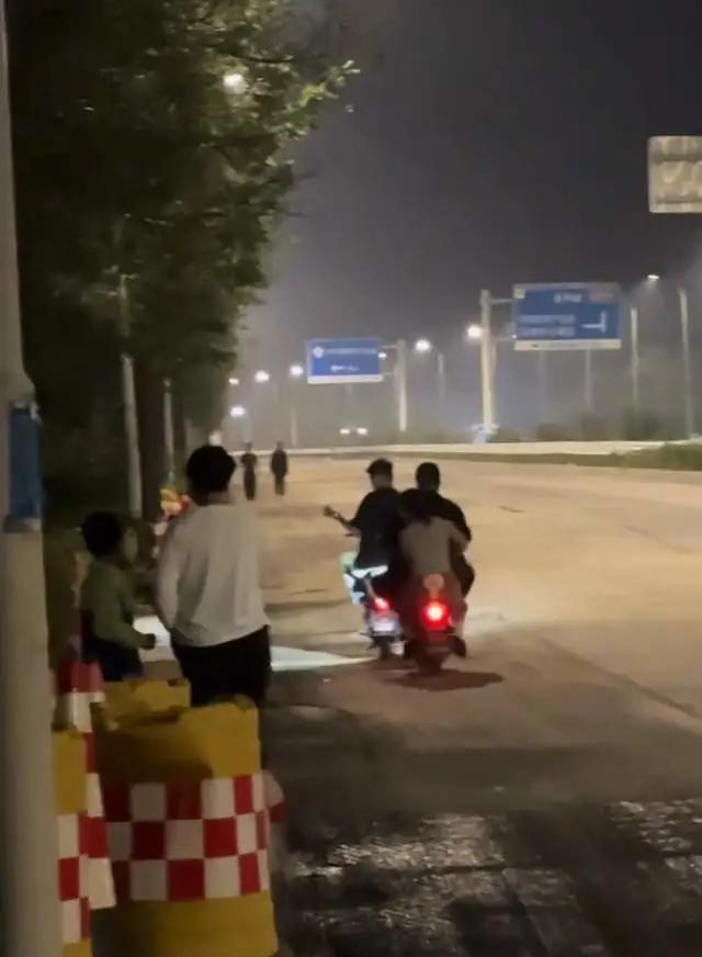 天津大量螃蟹爬上马路 有人捡十斤