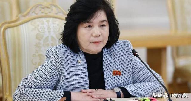 朝鲜外相带来金正恩承诺意味着什么 阅兵外交信号显现