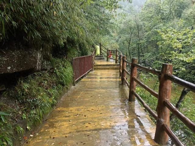 景区回应男童坠落栈道已加装护栏