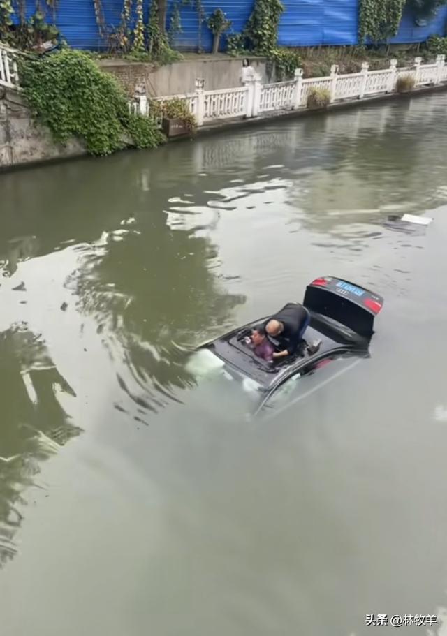 奥迪车主为躲闯红灯电动车不慎坠河 平凡英雄挺身而出