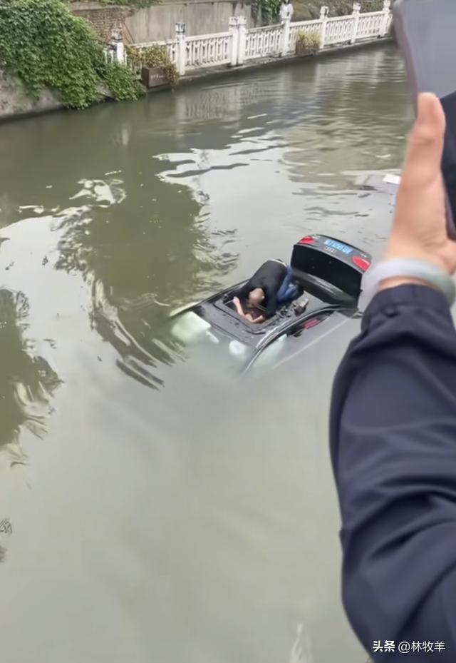 奥迪车主为躲闯红灯电动车不慎坠河 平凡英雄挺身而出