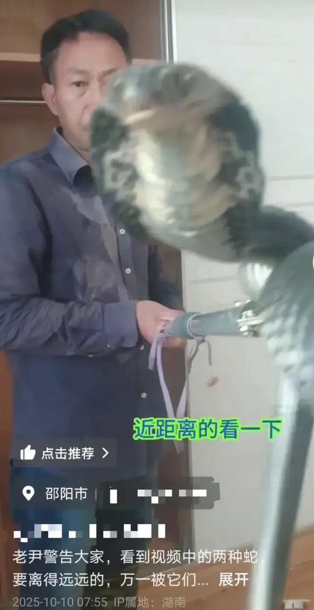 男子直播挖蛇被咬 去医院后失联 嫌血清贵独自离开