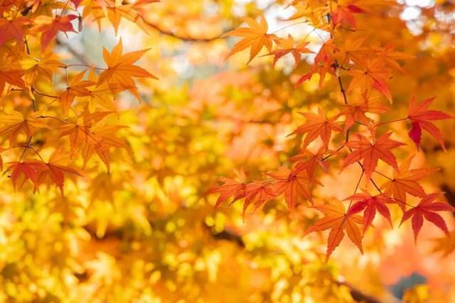 今年是百年一遇的