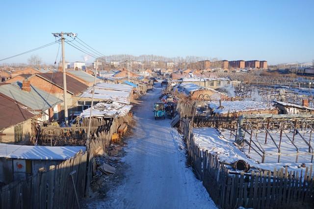 “晚重阳，冻死牛” 今年冬天冻到哭吗？ 古人预测冷冬来临