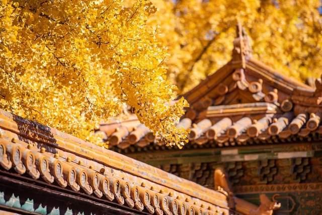 今年是百年一遇的