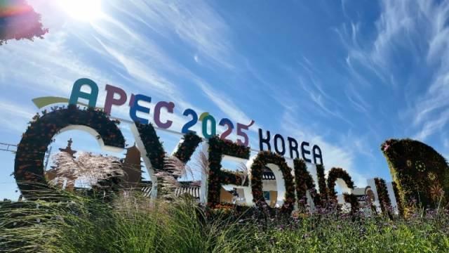 明年的APEC峰会为何会选在深圳举行 创新之城的魅力