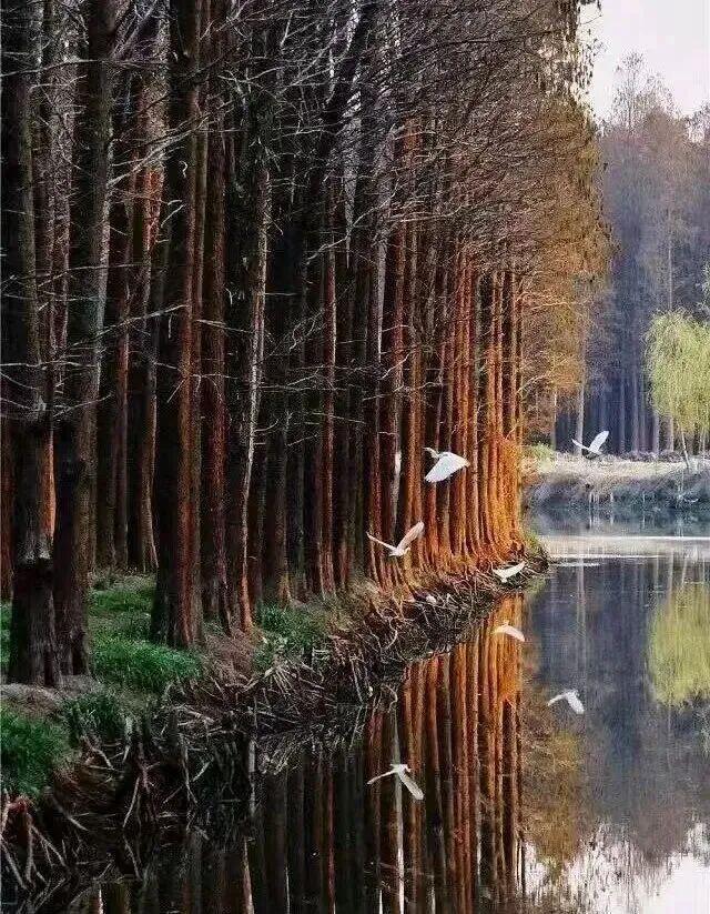 “苏超”夺冠后，泰州市官宣→