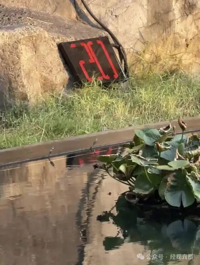 网红打卡点设拍照语音倒计时 限时一分钟引发热议