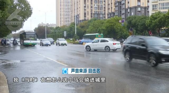 男人戴墨镜骑黑点赶紧路被罚 安全隐患引平和